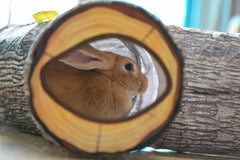 Tree Pattern Tunnel Interactive Cat Toy