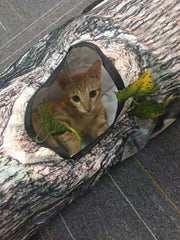 Tree Pattern Tunnel Interactive Cat Toy
